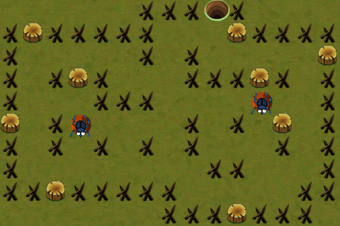 Dung_Beetles Dung_Beetles