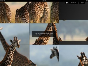 Safari_Sliders