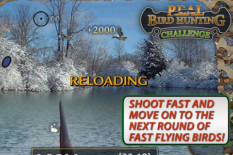 Real_Bird_Hunting_Challenge